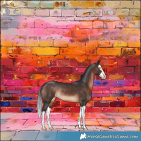 Horse Color:Brown Splash Rabicano