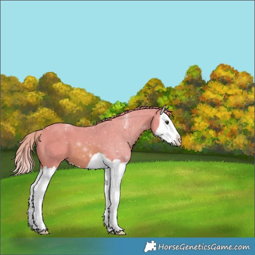 Horse Color:Watercolor Chestnut Splash 