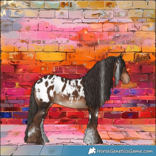 Horse Color:White Spotted Liver Chestnut Sabino Appaloosa