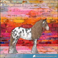 Horse Color:Liver Chestnut Sabino Near Leopard 