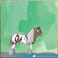 Horse Color:Liver Chestnut Tobiano Near Leopard 