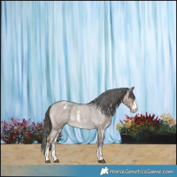 Horse Color:Liver Red Dun Roan Sabino Varnish 