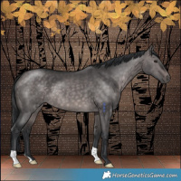 Horse Color:Platinum Brown Dun 