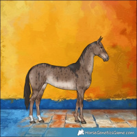 Horse Color:Liver Red Dun Brindle 