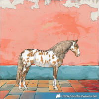 Horse Color:Chocolate Palomino Dun Near Leopard 