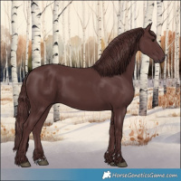 Horse Color:Chocolate Smoky Black 