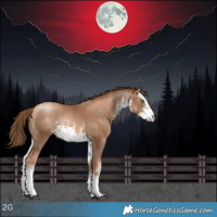 Horse Color:White Spotted Liver Chestnut Pearl 