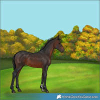 Horse Color:Brown 