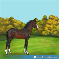 Horse Color:Brown 