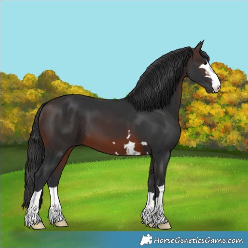 Horse Color:Brown 