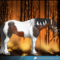 Horse Color:Brown Tobiano Varnish 