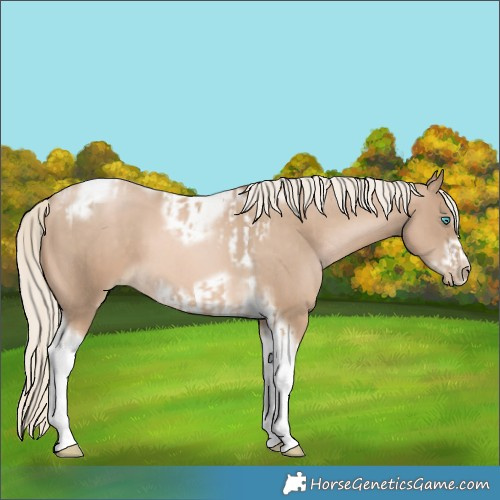 Horse Color:Chocolate Palomino Pearl Tobiano Frame  and Chocolate Palomino Pearl Tobiano Frame 