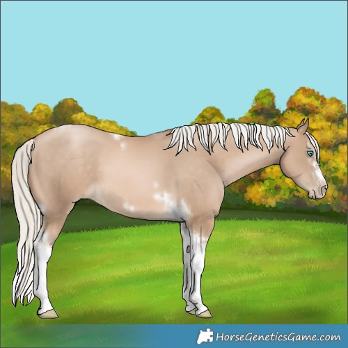 Horse Color:Chocolate Palomino Pearl Tobiano Frame  and Chocolate Palomino Pearl Splash Tobiano Frame 
