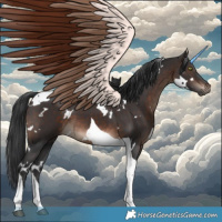 Horse Color:White Spotted Brown Tobiano