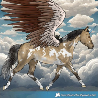 Horse Color:White Spotted Buckskin Dun