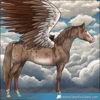 Horse Color:Liver Red Dun Sabino Brindle