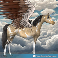 Horse Color:White Spotted Buckskin Dun Tobiano