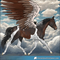 Horse Color:Brown Tobiano 