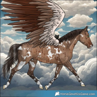 Horse Color:White Spotted Liver Red Dun Brindle