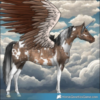 Horse Color:White Spotted Brown Dun Tobiano Rabicano
