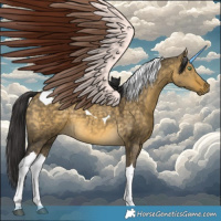 Horse Color:Buckskin Dun Tobiano