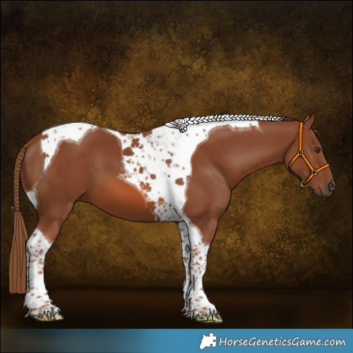 Horse Color:Chestnut Tobiano 