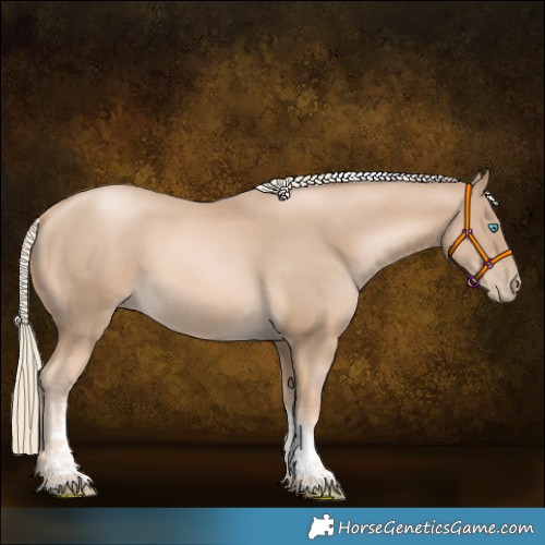 Horse Color:Chocolate Palomino Pearl Sabino Tobiano 