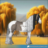 Horse Color:Brown Dun Splash Tobiano 