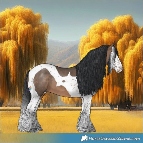 Horse Color:Brown Dun Splash Tobiano 