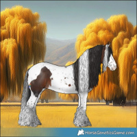 Horse Color:Brown Splash Tobiano 