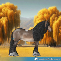 Horse Color:Brown Dun Tobiano 