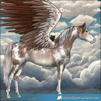 Horse Color:White Spotted Liver Red Dun Sabino Rabicano Brindle 