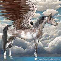 Horse Color:White Spotted Brown Dun Mushroom Brindle 