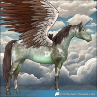 Horse Color:White Spotted Chocolate Brown Dun Brindle 