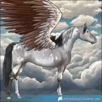 Horse Color:White Spotted Brown Dun Rabicano Brindle 