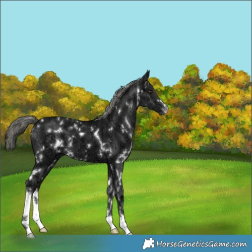 Horse Color:White Spotted Liver Chestnut Ice Mushroom 