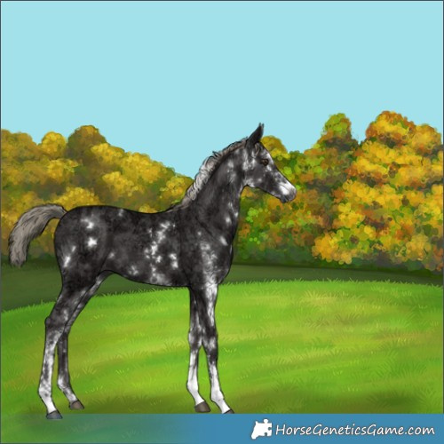 Horse Color:White Spotted Liver Chestnut Ice Mushroom 