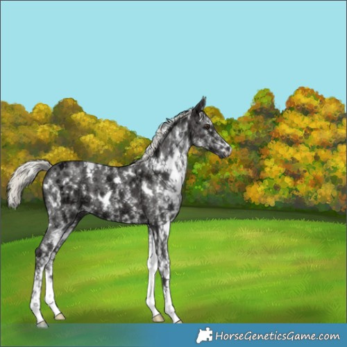Horse Color:White Spotted Liver Chestnut Ice Mushroom 