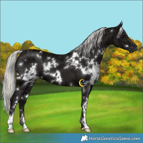 Horse Color:White Spotted Liver Chestnut Ice Mushroom 