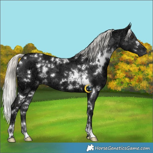 Horse Color:White Spotted Liver Chestnut Ice Mushroom 