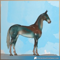 Horse Color:White Spotted Liver Chestnut 