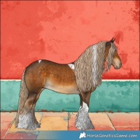 Horse Color:Chocolate Palomino Tobiano 