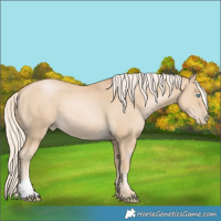 Horse Color:Palomino Pearl 