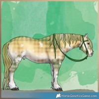 Horse Color:Watercolor Plaid White Spotted Liver Red Onyx Rabicano