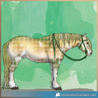 Horse Color:Watercolor Plaid  White Spotted Liver Red Onyx Rabicano 