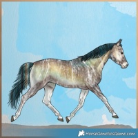 Horse Color:Painted Liver Red Onyx Ice 