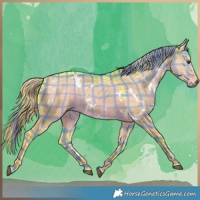 Horse Color:Watercolor Plaid  White Spotted Liver Red Dun 