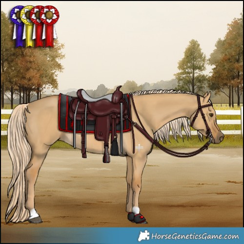 Horse Color:Palomino Dun 