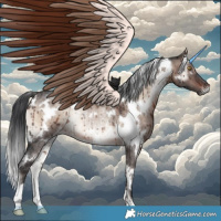 Horse Color:White Spotted Brown Onyx Mushroom Rabicano Brindle 