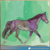 Horse Color:White Spotted Liver Red Dun Ice Tobiano 
